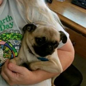 Meet your Posher, Susan